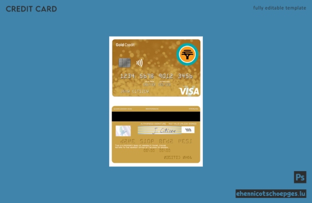 Beispielvorschau der Namibia First National Bank Gold Kreditkarte (Visa)